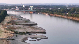 В Европе из-за обмеления рек отключают АЭС