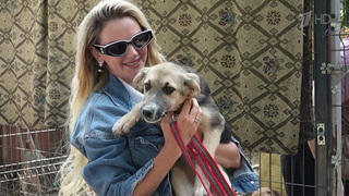 «Новые люди» представили Зоозащитный кодекс, цель которого изменить отношение к животным