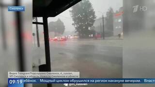 Женщина и ребенок погибли из-за упавших деревьев во время грозы в Смоленске