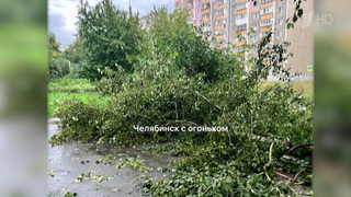 В Челябинске сильный ветер повалил деревья, а в Уфе ураган снес крыши домов