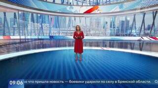 При ударе украинского дрона по селу в Брянской области погиб местный житель