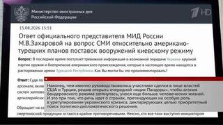 Турция готовится передать украинским террористам партию оружия производства США