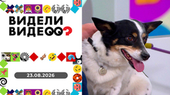 Скандал с курьером, собака-улыбака, самая нарядная собака. Видели видео? Выпуск от 23.08.2026