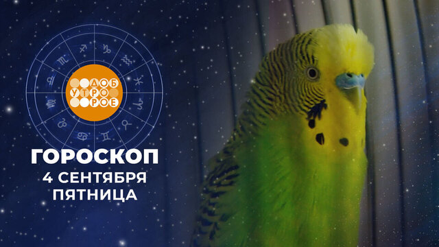 Гороскоп на 4 сентября. Доброе утро. Фрагмент