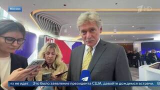 Песков призвал не делать прогнозов до беседы Путина с Уиткоффом и Кушнером