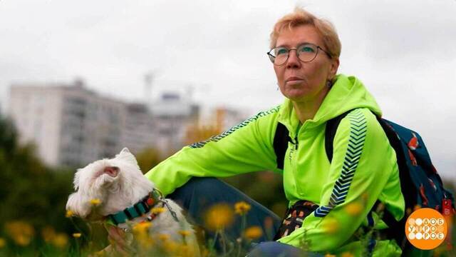 Куда идем мы...? Прочь от стресса. Доброе утро. Фрагмент