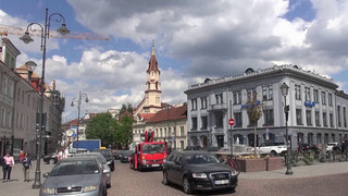В Литве из-за стаи птиц объявили воздушную тревогу