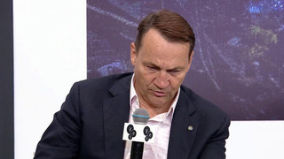 Мария Захарова назвала заявление Сикорского о быстрой победе Польши над Россией русофобией головного мозга
