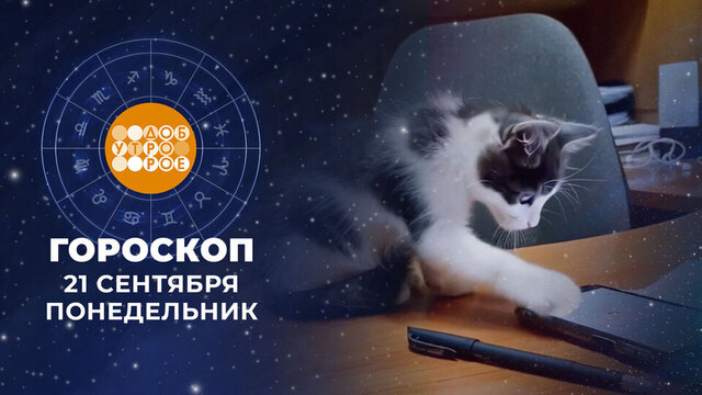 Гороскоп на 21 сентября. Доброе утро. Фрагмент