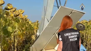 Появились кадры с места крушения самолета в Саратовской области