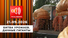 Битва урожаев. Дачные гиганты. Пусть говорят