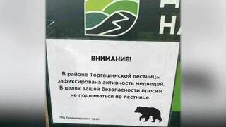 В Красноярске из-за активности медведей временно закрыли Торгашинскую лестницу