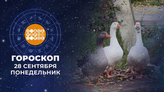 Гороскоп на 28 сентября. Доброе утро. Фрагмент