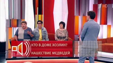 «Парень с топором»: как пытались спасти девушку от медведя. Пусть говорят. Фрагмент