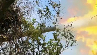 Российские войска освободили Веселое Поле в ДНР