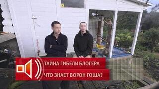 Семью блогера и хозяина ворона Гоши Чугайнова обвинили в вымогательстве денег у подписчиков
