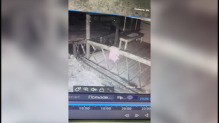 Медведь разгромил гостевой домик на территории станции «Тайга»: видео