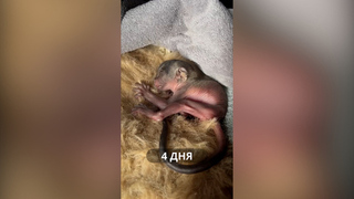 Улицы превратились в реки: рекордные ливни обрушились на Стамбул