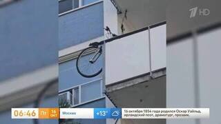 Белка на колесе: в Канаде катающийся на велосипеде грызун попал на видео