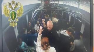 На МЦД-2 в пассажирку из окна прилетел кирпич: видео