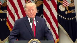Пока у власти Зеленский, мира не будет: Трамп вновь прошелся по главарю киевского режима
