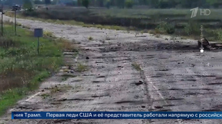 Белый дом: посредником в вопросе прекращения огня в Алешках выступила Мелания Трамп