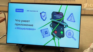 Проект Народного фронта «Мошеловка» стал доступен в мобильном приложении