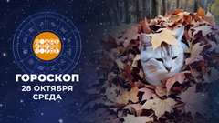 Гороскоп на 28 октября. Доброе утро. Фрагмент
