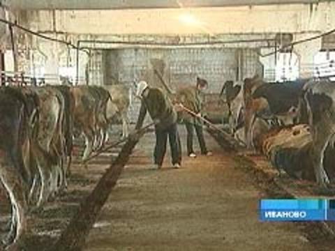 Как сделать своими руками коровник