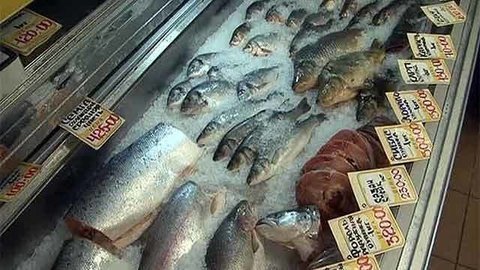 «Среда обитания. О чем молчит рыба». Документальный фильм