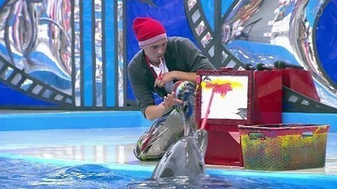 Антон Привольнов. Выступление. Вместе с дельфинами. Фрагмент выпуска от 03.10.2015