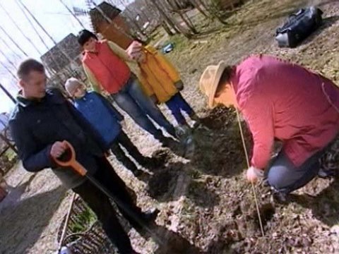 Грядка. Выпуск от 15 мая 2010