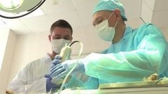 Один день с ветеринаром. Доброе утро. Фрагмент выпуска от 17.09.2015