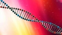 ДНК расскажет все! Доброе утро. Фрагмент выпуска от 26.05.2016