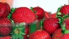 Все за клубникой! Доброе утро. Фрагмент выпуска от 30.06.2016