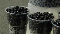 Черника. Доброе утро. Фрагмент выпуска от 15.07.2016