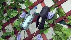 Как защитить уличную розетку от дождя. Доброе утро. Фрагмент выпуска от 12.08.2016