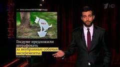 О влиянии Запада на наш футбол, чистоплотных казачьих патрулях и ламинате на Дворцовой площади. Новости от Ивана. Вечерний Ургант. Фрагмент выпуска от 07.09.2016