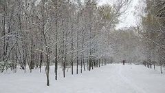 Снег пришел! Доброе утро. Фрагмент выпуска от 31.10.2016