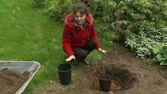 Посадка косточковых культур. Фазенда. Фрагмент выпуска от 27.09.2015