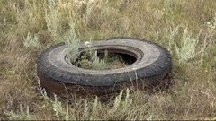 Брошенная земля. Доброе утро. Фрагмент выпуска от 21.07.2015