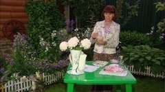 Салат из анютиных глазок. Доброе утро. Фрагмент выпуска от 10.07.2015