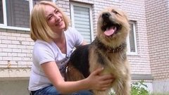 Мы в ответе за тех, кого приручили. Доброе утро. Фрагмент выпуска от 24.06.2015