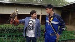 Коломенский соколятник. Доброе утро. Фрагмент выпуска от 16.06.2015