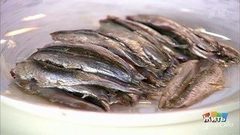 Самая лучшая рыба на свете — анчоус. Жить здорово! Фрагмент выпуска от 13.04.2017