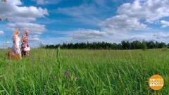 Иван Купала: идем в лес! Доброе утро. Фрагмент выпуска от 06.07.2017