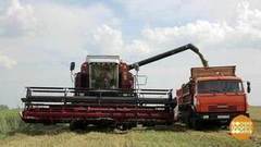 Урожай-2017. Доброе утро. Фрагмент выпуска от 15.08.2017