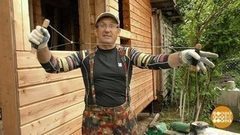 «Помогайка» от Дмитрия Талабуева. Доброе утро. Фрагмент выпуска от 28.08.2017