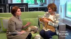 Роза Сябитова знакомит со своим котом Васей: «Буду искать себе мужа с таким же характером!». Главный котик страны. Фрагмент выпуска от 10.09.2017