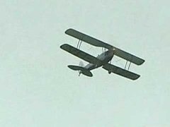 Клуб Элвиса Пресли. Ловля креветок. Юбилей самолета